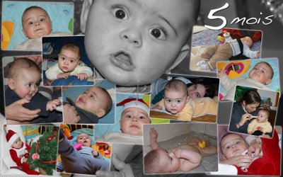 5 mois