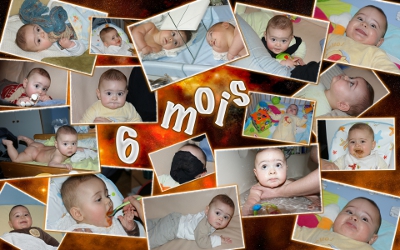 6 mois