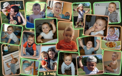 12 mois